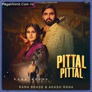 Pittal Pittal Poster
