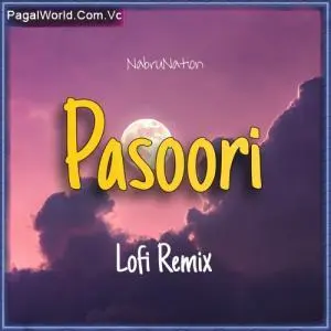 Pasoori (Lofi Remix) Poster