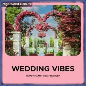 Wedding Vibes Poster