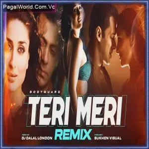 Teri Meri (Remix) Poster