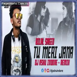 Tu Meri Jana   Bilal Saeed (Remix) Poster