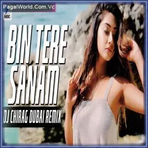 Bin Tere Sanam Mar Mitenye Hum Remix Poster