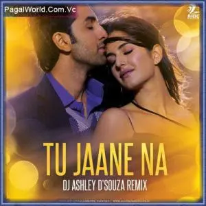 Tu Jaane Na (Remix) Poster