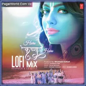 Hare Krishna Hare Lofi Mix Poster