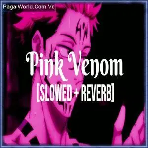Pink Venom   Slowed Reverb Poster