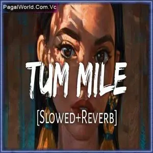 Tum Mile   Slowed and Reverb Poster