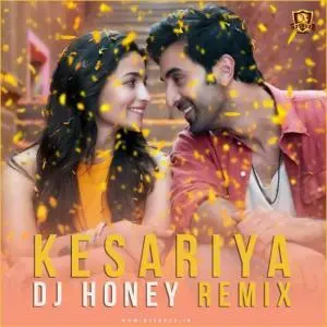 Kesariya New Dj Remix Poster