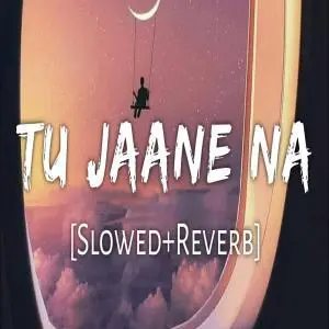 Tu Jaane Na (Slowed Reverb) Poster