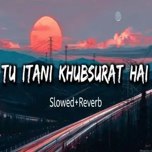 Falak Kadmo Pe Aa Jhuke Lofi Mix (Slowed and Reverb) Poster
