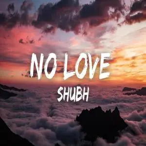 No Love (TikTok) Poster
