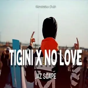 Tigini x No Love (Mashup) Poster