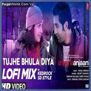 Tujhe Bhula Diya (LoFi Mix) Poster