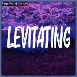 Dua Lipa   Levitating Poster