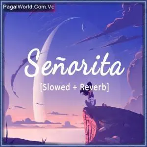 Senorita (Slowed And Reverb) Poster